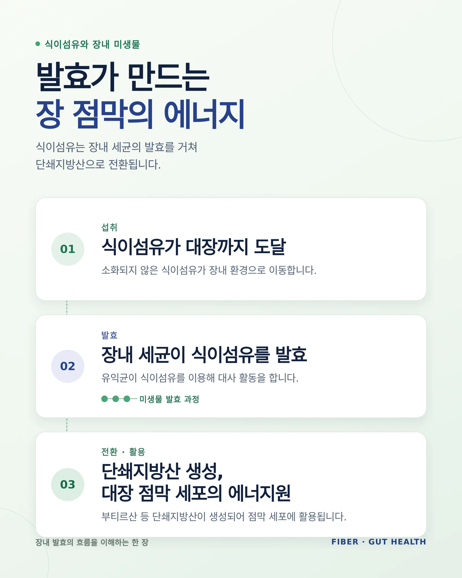 식이섬유가 장내에서 발효되는 과정을 보여주는 인포그래픽
